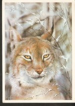 Russia USSR Soviet Postcard Fauna Animals LYNX Wild Cat by Isakov - £2.97 GBP