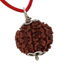 4 Mukhi Nepali Rudraksha Four Face Mantra Siddha Rudraksh certificado con... - $19.36