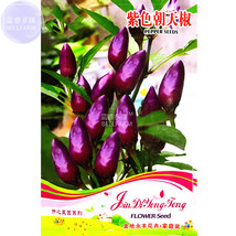 Pod Pepper Dark Purple Chile25 pack ornamental hot bonsai red cluster pepper - £7.08 GBP