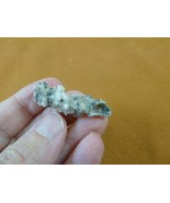 r365-7) 1-1/2&quot; Fulgurite lightning strike beach sand glass Georgia fulgu... - $20.30 CAD