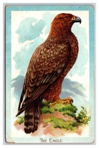 The Golden Eagle Raphael Tuck Birds Series 402 1910 DB Postcard P21 - £5.67 GBP