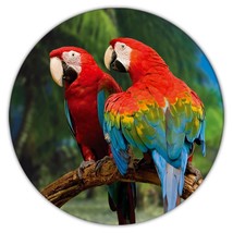 2 Macaws Branch Tropical Beach : Gift Coaster Parrot Bird Animal Cute - £3.94 GBP