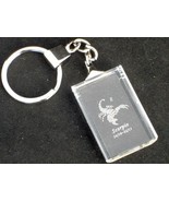 key chain Scorpio engraved transparant zodiac transparent crystal free s... - £11.71 GBP