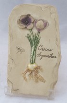 Wall décor 3D Pluck Crocus Chrysanthus flower Hen-Feathers Hand Made &amp; Painted - £6.86 GBP