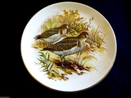 VTG Old Foley James Kent England Wild Life Hunting Birds Quail Small plate dish - £23.74 GBP