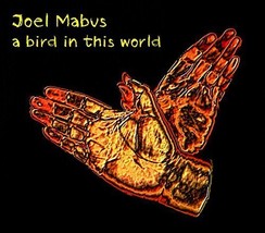 A Bird in This World [Audio CD] Joel Mabus - $29.39