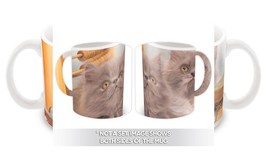 Cat : Gift Mug Feline Pets Lover Mom Dad Animal Cats Kitten - £12.70 GBP