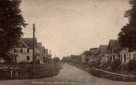 Vintage Real Photo POSTCARD- Orchard Ave., Hamlin, Ny (c.1908) BK43 - £4.28 GBP