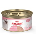 Feline Health Nutrition Kitten Loaf In Sauce Canned Cat Food, 3 Ounce (P... - $47.98