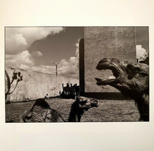 Moises Saman - Signed Photo - Magnum Square Print Limited Edition - $486.09