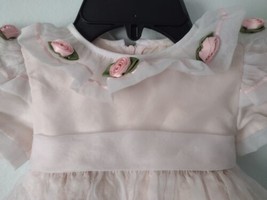 Vintage Sylvia Whyte Size 18mo Baby Girls Pink Organza Party Dress Twirl Roses  - £25.31 GBP