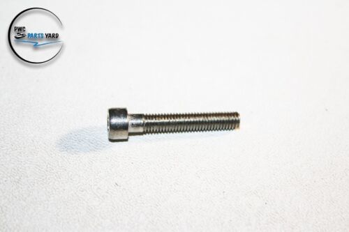 Sea-Doo Gsx Gtx Spx Xp Socket Head Screws Bolts 290940883 - $9.49