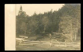 Vintage RPPC Real Photo Postcard Timber Harvesting Forestry Fir Trees - £11.86 GBP