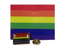 AES Rainbow Gay Pride Striped Lesbian Trans Bi Bike Motorcycle Hat Cap Lapel Pin - £2.80 GBP