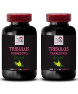 Tribulus Extract - TRIBULUS TERRESTRIS EXTRACT - Standardized Tribulus 2... - $38.50 CAD
