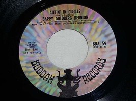 Barry Goldberg Reunion Hole In My Pocket Sittin In Circles Promo 45 Rpm Record - £14.19 GBP