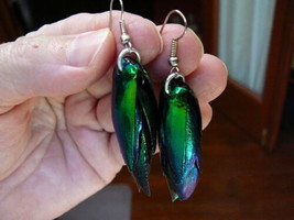 (W1-A) 2&quot; Green Red Real Emerald Beetle Bug Earrings Jewelry Weird Beautiful - £19.42 GBP