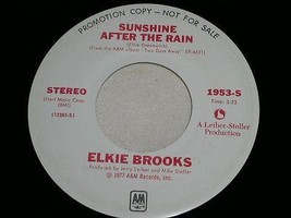 Elkie Brooks Sunshine After The Rain 45 Rpm Record Vinyl A&amp;M Label Promo - £31.28 GBP