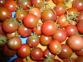 Chocolate Cherry Tomato 20 Seeds *Heirloom* Seeds Of Life - $3.79