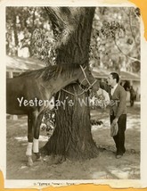 Edward Buzzell LITTLE JOHNNY JONES c.1928 Original Photo - £7.91 GBP