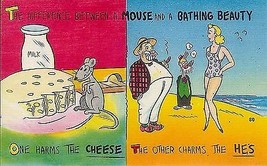1940&#39;s Mouse &amp; Bathing Beauty comparison comic - $1.93