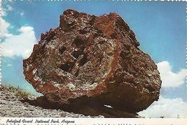 1960&#39;s Petrified Log in Petrified Forest National Park, Arizona - £3.85 GBP