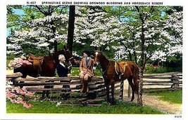 1950&#39;s &quot;Dogwood Blossoms &amp; Horseback Riders&quot; - £4.63 GBP