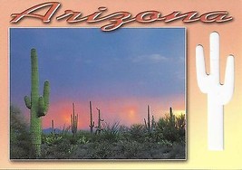 1980&#39;s Arizona Sonoran Desert, die-cut postcard - £2.32 GBP