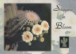 1980&#39;s Saguaro in Bloom, Arizona State Flower - £2.32 GBP