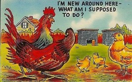 1950's Colourpicture comic #56 "I'm New Around Here - What Am I Supposed To Do?" - $2.92