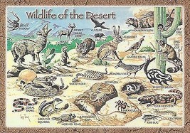 1980&#39;s Wildlife of the Desert, Mesa, Arizona - £2.28 GBP