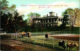 Postcard 1910s Baltimore MD Mansion House Zoological Gardens Druid Hill ... - $14.80