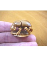 (tb-ins-8) tan Stag beetle Tagua NUT figurine Bali detailed insect carvi... - £38.62 GBP