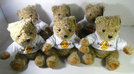 Hard Rock Cafe 6 Bear Classic Hoodie Plush  Collectible New with tag - £550.44 GBP