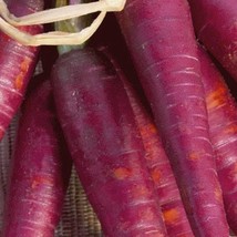 New Fresh USA Seller 200 Carrot Cosmic Purple Seeds - £9.94 GBP