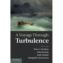 A Voyage Through Turbulence Davidson, Peter A. (Editor)/ Kaneda, Yulio (Editor)/ - £33.12 GBP