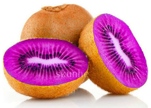 Purple Heart Kiwi Seeds Kiwi Fruit Tree Color:4 - $9.99