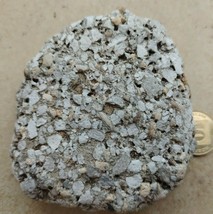 Natural Gray Color MINERAL Rough Stone Rock Netanya Beach Israel &amp; white... - £2.71 GBP