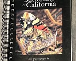Common Butterflies of California, Bob Stewart 1997 Spiralbound Book -Pho... - £13.73 GBP