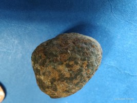 Coprolite Fossil Dinosaur Dung Poop crap Virginia Coastal Plain 25 gram - £7.06 GBP