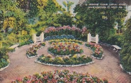 Interior Floral Display House Shaw&#39;s Garden St. Louis Missouri MO Postcard  - $2.96