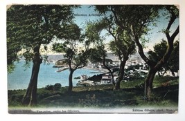 View Taken Between Olive Trees, Nice France Antique PC 1910 - $7.00