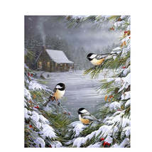 Style 16, Birds in a Snowy landscape, paint by number Acrylic Paint Kit - £27.13 GBP