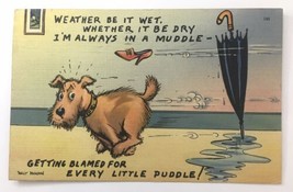 Humor Munson Comic Postcard Dog Blamed For Every Little Puddle 1941 Posted - £6.81 GBP