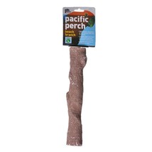 Prevue Pacific Perch - Beach Branch Large - 11&quot; Long - (Large Birds) - £48.70 GBP