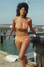 Pam Grier Sexy Busty pin up Glamour Pose Barefoot Bikini 1970&#39;s 18x24 Po... - £19.17 GBP