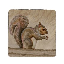Betsy Drake Squirrel Coaster Set of 4 - £27.68 GBP