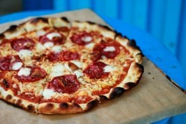 SAN FRANCISCO SOURDOUGH PIZZA dough tangy YEAST STARTER , sally BONANZA - £7.07 GBP