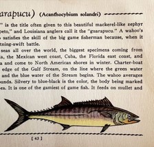 Wahoo 1939 Salt Water Fish Gordon Ertz Color Plate Print Antique PCBG19 - £23.97 GBP