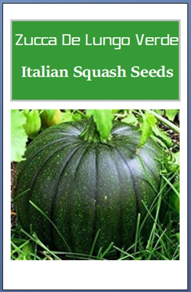 Italian Squash  Zucca De Lungo Verde Seeds  | NON-GMO | Fresh Garden Seeds - $2.55